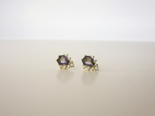 Amonita Earrings
